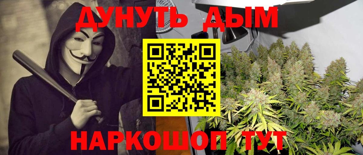 Каннабис семена Йошкар-Ола